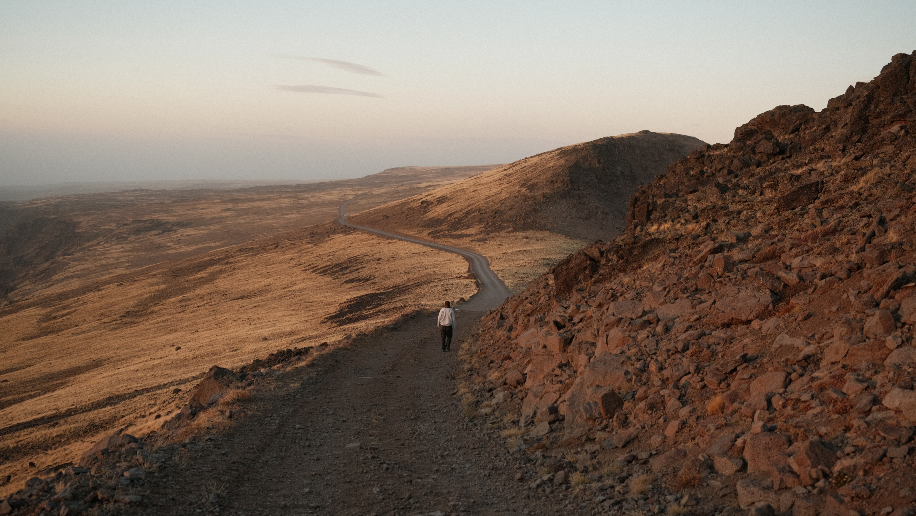 A figure walks into the setting sun, amnongst a sea of golden grasses. He wears a grey sweatshirt, and has close cropped hair. Distant, on the horizon trucks wait, their owners standing between them, inscrutable. 